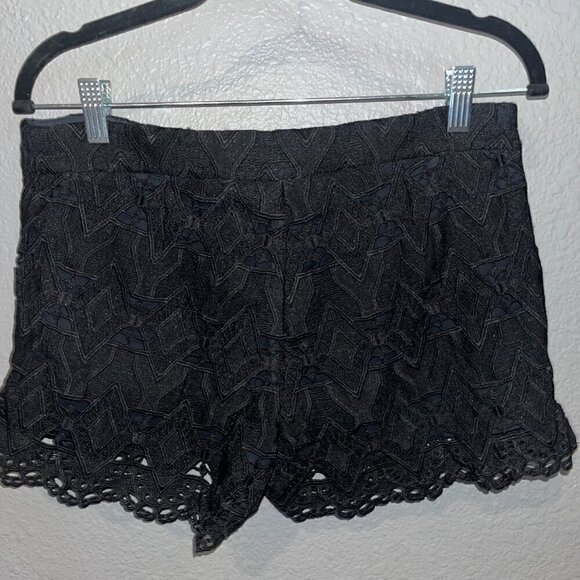 MAJE Black Heavy Lace Dress Shorts - Zip Front - Fully Lined - EU Size 38 = US 6 - Picture 5 of 11